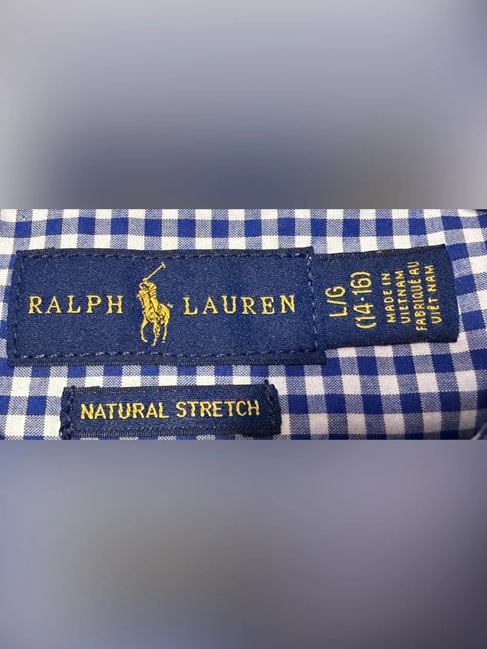 Ralph Lauren Blue and White Gingham Button-Down Shirt